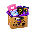 Small Mystery Box